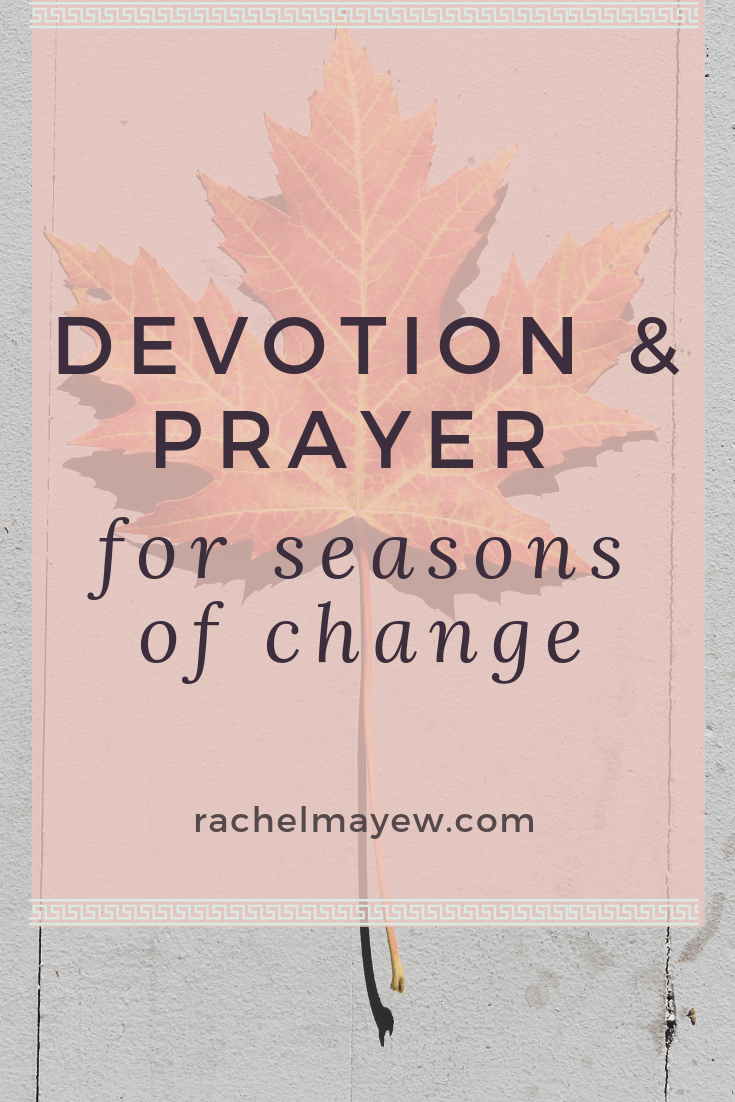 Sweet & Savory Bible Verses for Autumn ~ Rachel Mayew Devotion & Prayer for Seasons of Change. #rachelmayew #psalmforautumn #bibleversesforautumn #comfycozy #fallfeelings #ecclesiastes31 #autumn #devotions