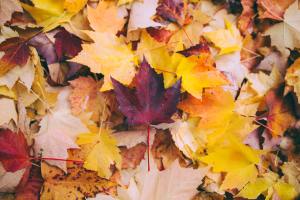 spiritual meaning of autumn